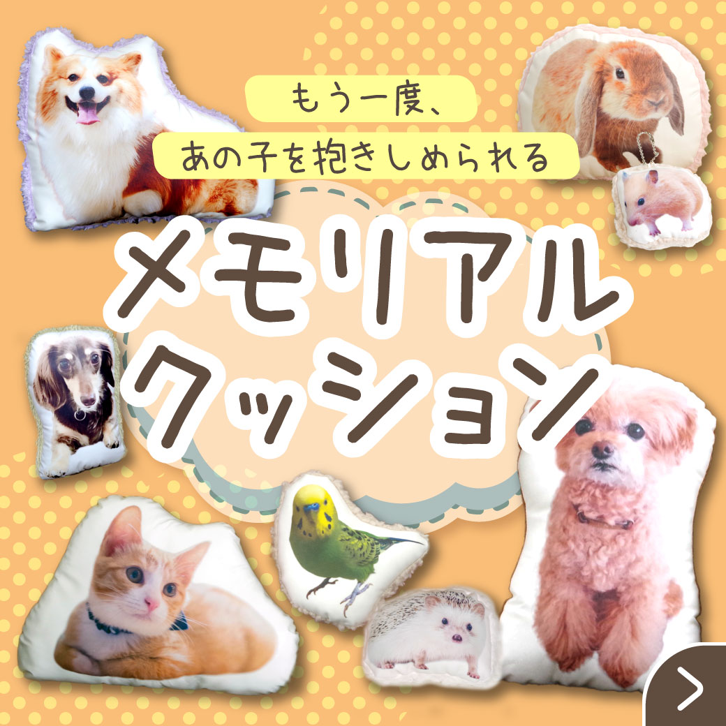 メモリアルクッション