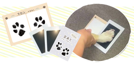 足あとスタンプキット